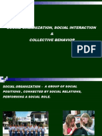 Social Organization, Social Interaction & Collective Behavior