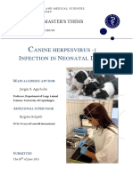 Agerholm 2013 CaHV-1 Infection in Neonatal Dogs