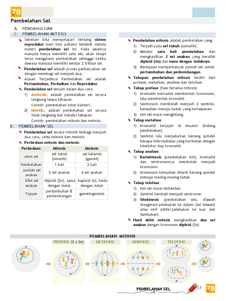 Pembelahan Sel | PDF | Sains & Matematika