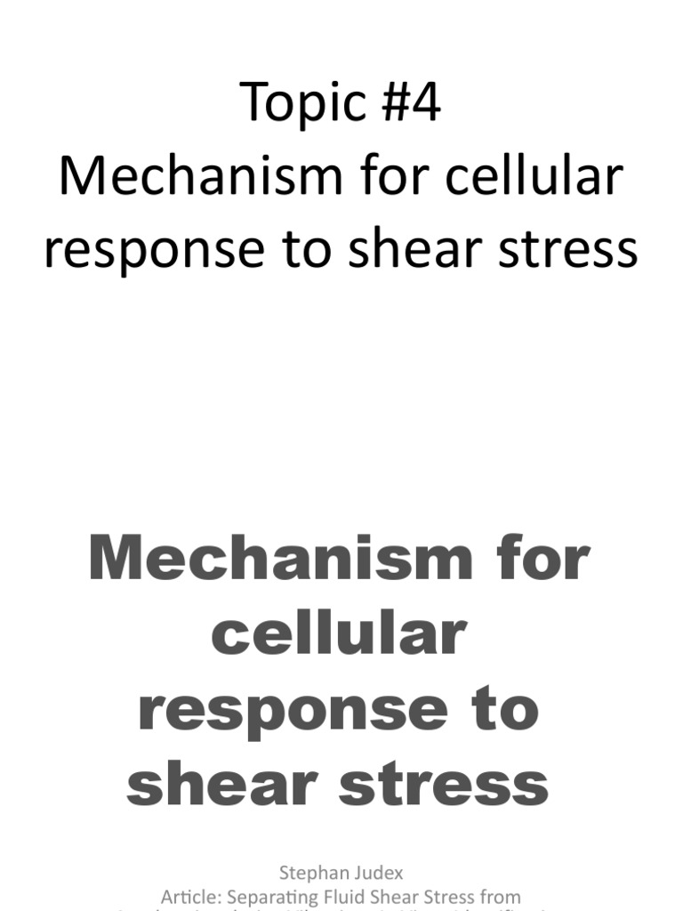 Mechanism For Cellular Response To Shear Stress | PDF | Shear Stress ...