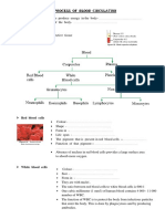 Process of Blood Circulation