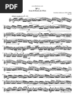 Le Trascrizioni Di Grandjany Pdf Classical Music Entertainment General