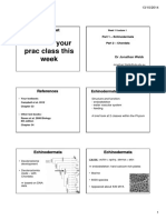 Week 11 Lecture Echinodermata Chordata