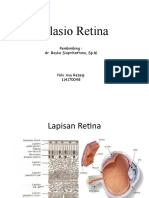 Ablasio Retina