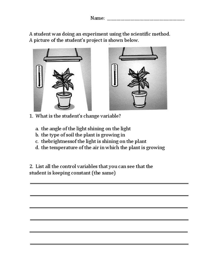 The Effect of Light Intensity on Plant Growth An Experiment Using the
