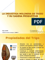 Presentacion Industria Molinera Concamin 140509