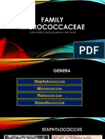 Family Micrococcaceae PDF