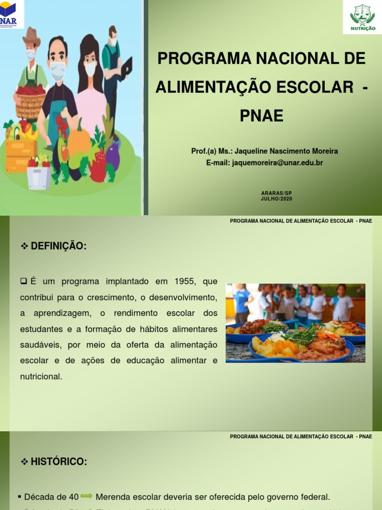 Aula 13 Programa Nacional De Alimentação Escolar Pnae Pdf Pdf