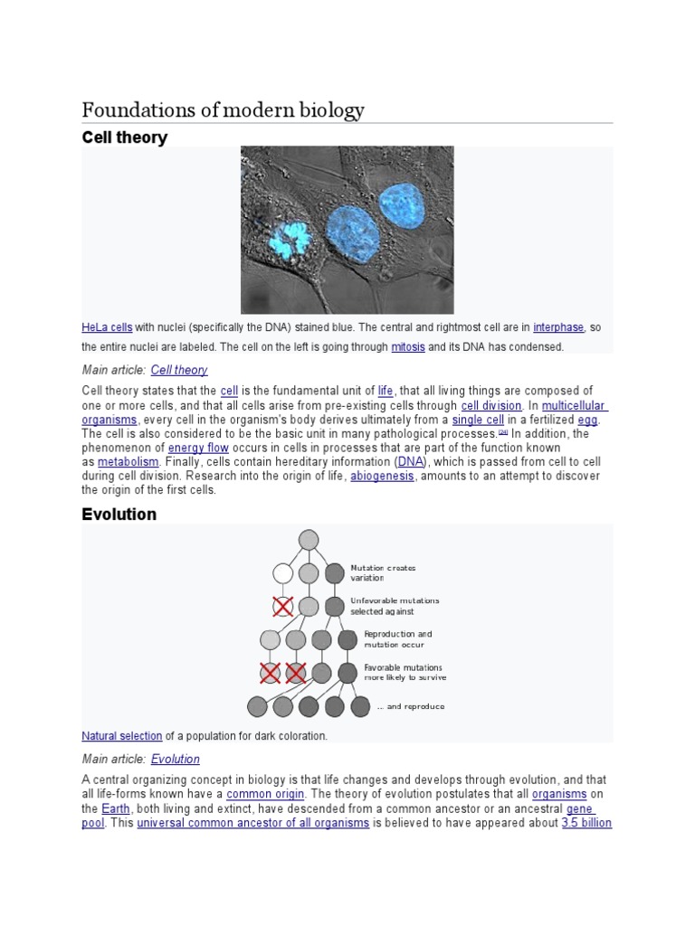 Foundations of Modern Biology PDF Biology Evolution