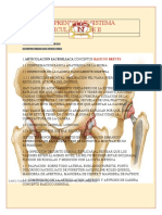 Guia de Aprendizaje Sistema Osteoartciualar 2
