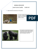 Animal Behavior NAME: Julian Daniel Cortes Castilla CLASS: 6C