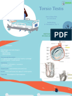 Devi - Tugas Harian Torsio Testis