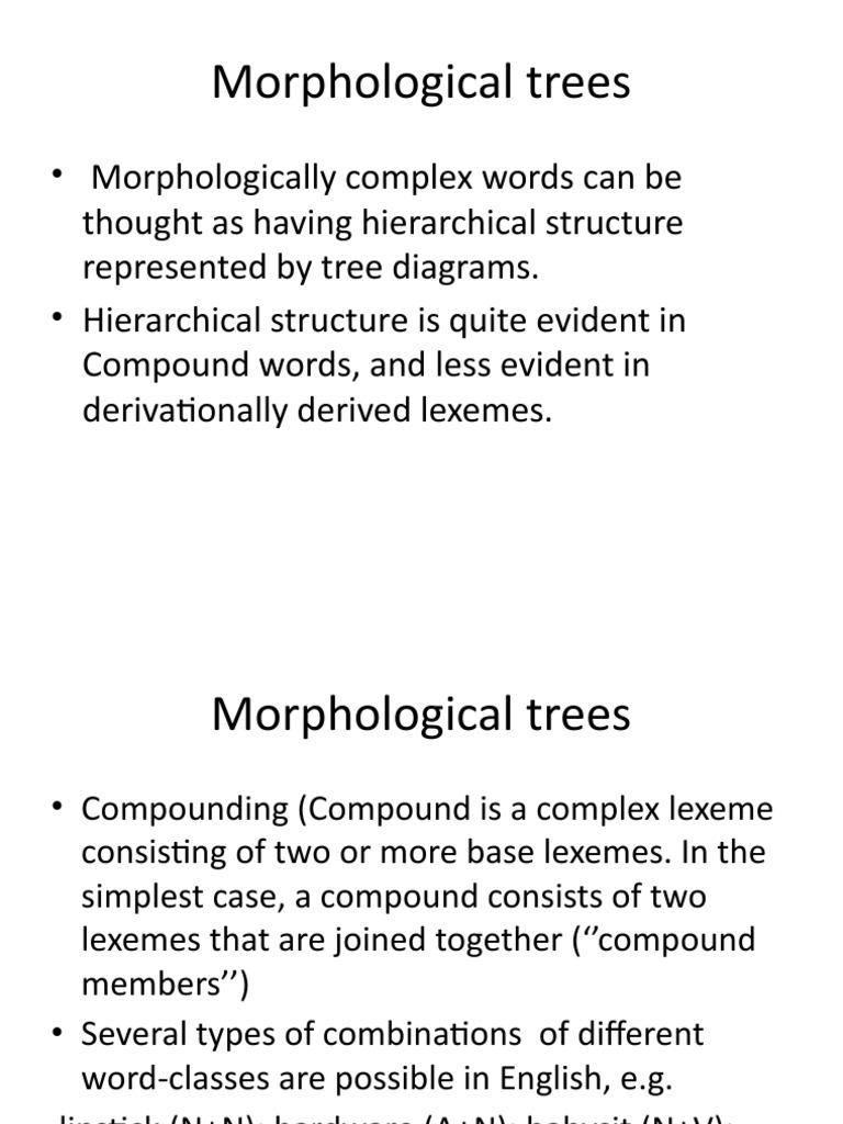 Morphological Trees PDF Morphology (Linguistics) Symbols