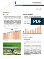 Informe-coyuntura-arroz-280818_0.pdf