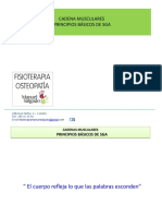 Cadena Musculares Principios Básicos de Sga: Isioterapiamanuelsalgado@gmail