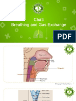 Ch#3 Breathing and Gas Exchange