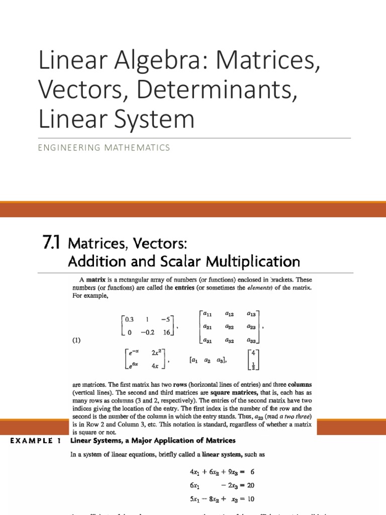 Linear Algebra Guide: Matrices, Vectors & Determinants | PDF