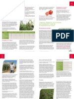 Seminis Tomato Leaflet Growing-Technology RU