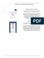 Chi Kung - Ejercicios Basicos En La Practica [doc]