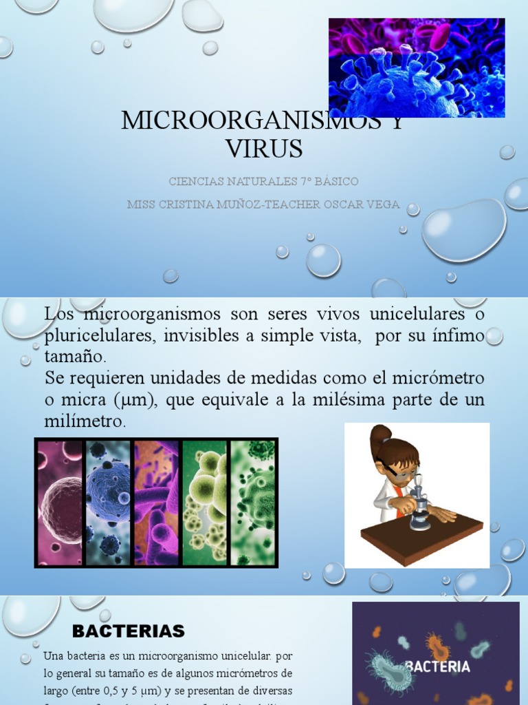 Microorganismos y Virus para 7° Básico | PDF | Las bacterias ...