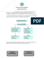 Actividad 3 ANATOMIA