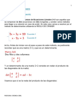 SISTEMA DE ECUACIONEs DETERMINANTE