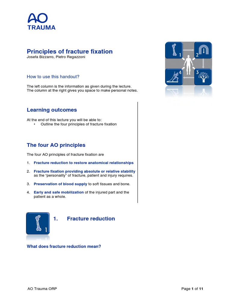 AO Principles of Fracture Fixation | PDF | Anatomical Terms Of