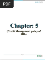 Chapter 5 Credit Management Policy of JBL