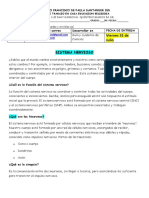 Sistema nervioso: función, partes y organización