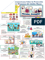 Derechos Hum Adulto Mayor POSTER