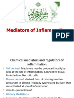 Mediators of Inflammation