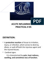 Exp - No.5 Acute Inflamation