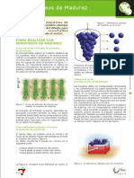 Muestreo de Madurez PDF