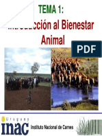 tema_1_-_introduccion_al_b_a