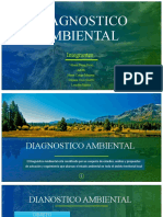 Diagnostico Ambiental