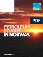 25986_Brosj_Petroleum_09