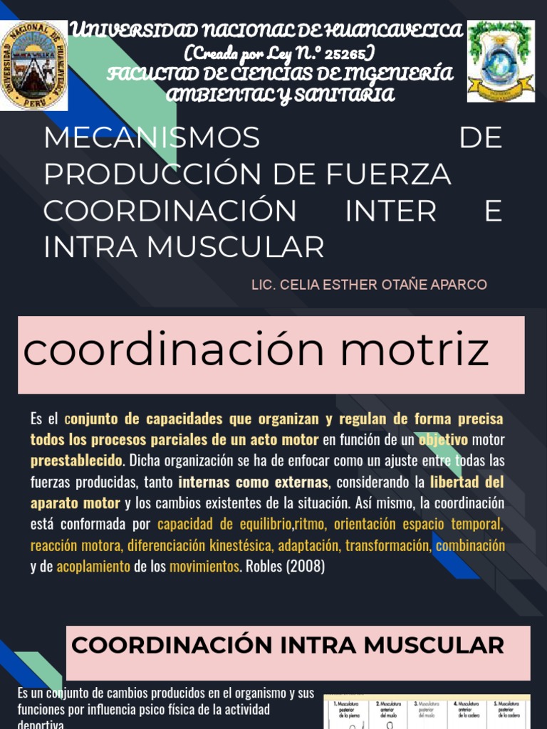 Coordinación Muscular: Intra e Inter | PDF | Músculo | Naturaleza
