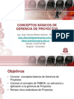 Conceptos Básicos Gerencia Prys PDF