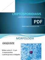 CRIPTOSPORIDIASIS