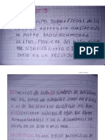 guía #3, de C.sociales-Pedro Felipe Caicedo Ramírez