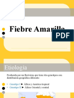 Fiebre Amarilla Expo