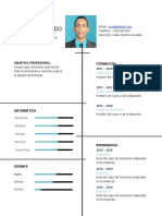 Plantilla Curriculum Vitae 1