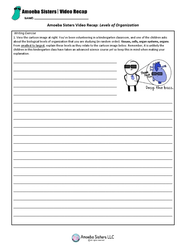 Video Recap Of Biological Levels Of Organization By Amoeba Sisters 2 Pdf Organisms Nature
