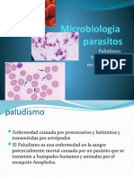 MICROBIOLOGIA