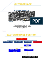 Bachteriophage: Phage T4 Infected Bacterium E.coli