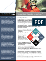 Values Based Safety Spanish PDF