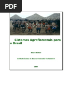 Sistemas Agroflorestais para o BR livro de Mauro Schorr