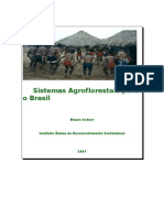 Sistemas Agroflorestais para o BR livro de Mauro Schorr
