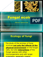 Fungal Ecology: Wellyzar Sjamsuridzal