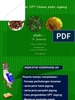 OPT Jagung 2020 PDF